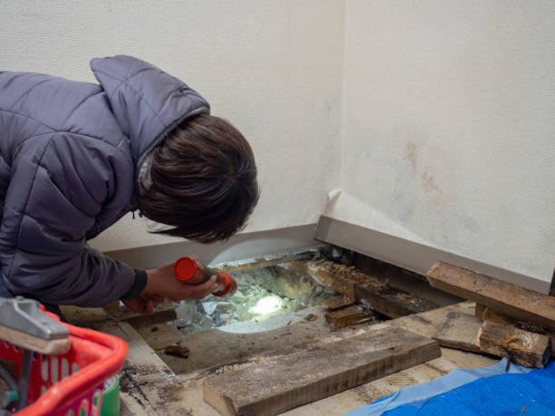 Best Dehumidification Services  in Lake Placid, NY