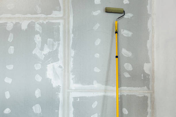Best Comprehensive Air Testing for Mold Contaminants  in Lake Placid, NY