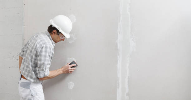  Lake Placid, NY Mold Removal Pros