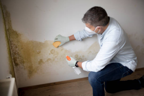 Best Post-Construction Mold Inspection  in Lake Placid, NY