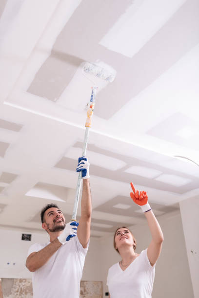 Best Air Quality Testing for Mold Spores  in Lake Placid, NY