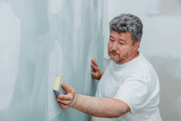 Forensic Mold Investigation in Lake Placid, NY
