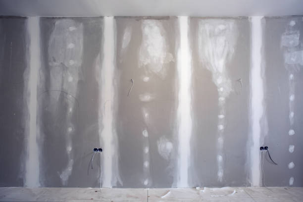 Best Emergency Mold Remediation  in Lake Placid, NY